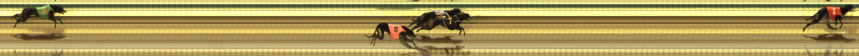 Photo finish for The Meadows Race 10
