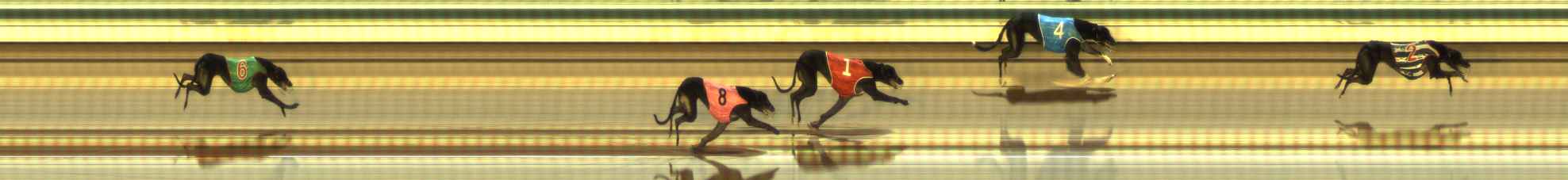 Photo finish for The Meadows Race 11