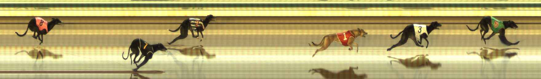 Photo finish for The Meadows Race 12