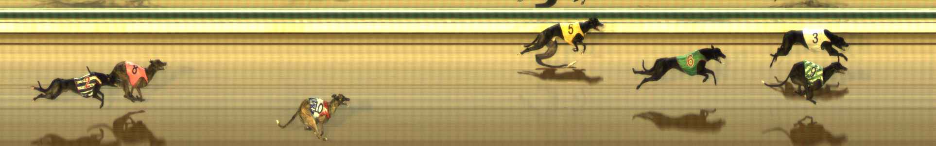 Photo finish for The Meadows Race 1