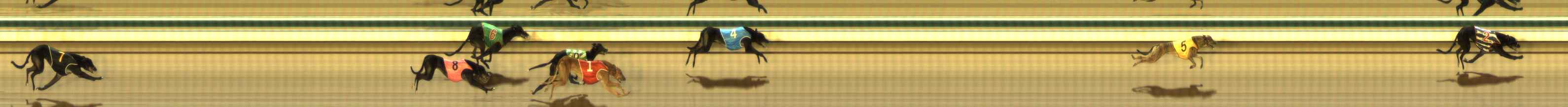 Photo finish for The Meadows Race 2