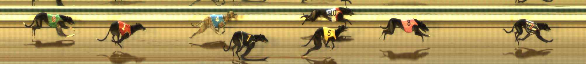 Photo finish for The Meadows Race 3