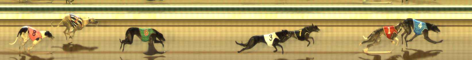Photo finish for The Meadows Race 4