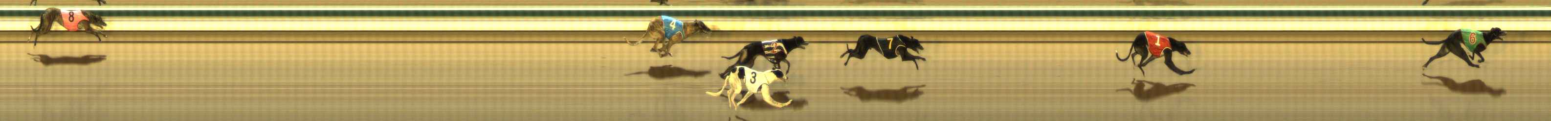 Photo finish for The Meadows Race 5
