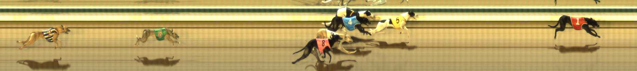 Photo finish for The Meadows Race 6