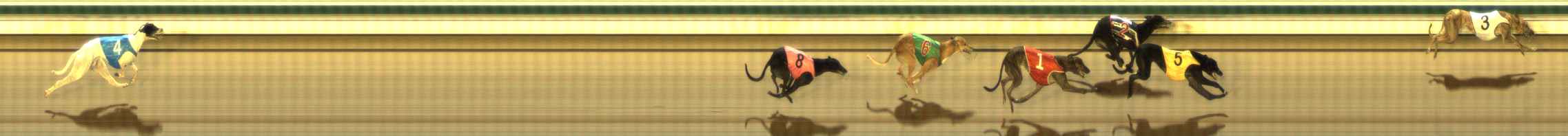 Photo finish for The Meadows Race 7