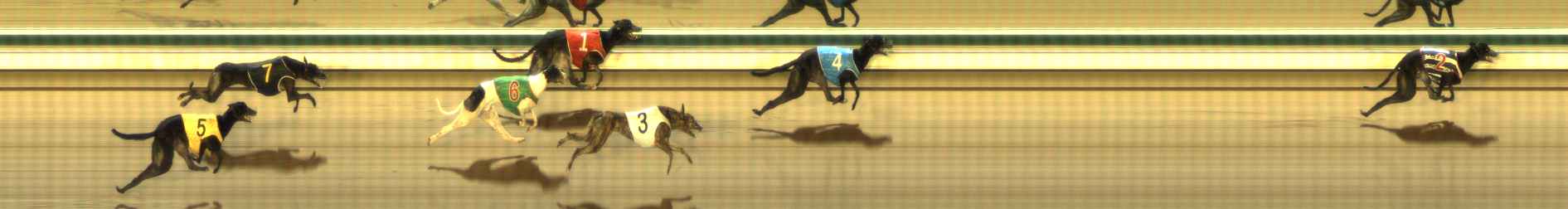 Photo finish for The Meadows Race 8