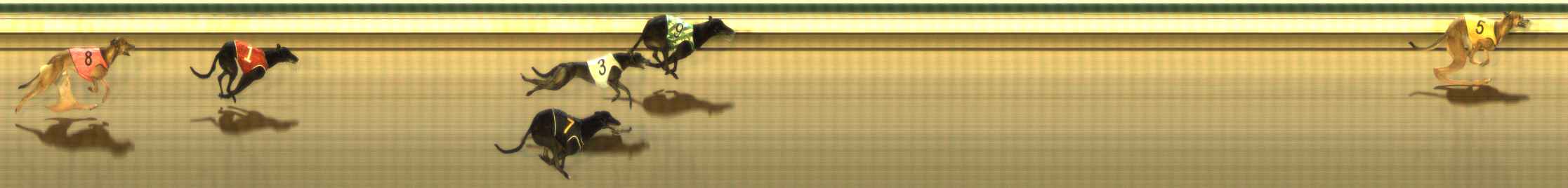Photo finish for The Meadows Race 9