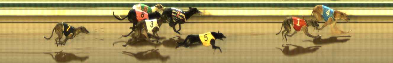 Photo finish for The Meadows Race 11