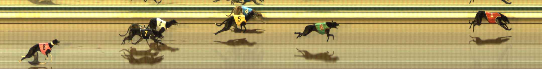 Photo finish for The Meadows Race 1