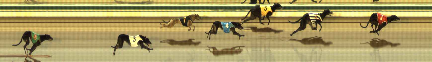 Photo finish for The Meadows Race 2