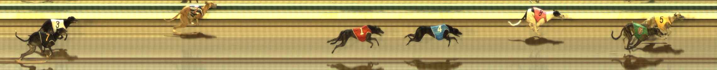 Photo finish for The Meadows Race 3