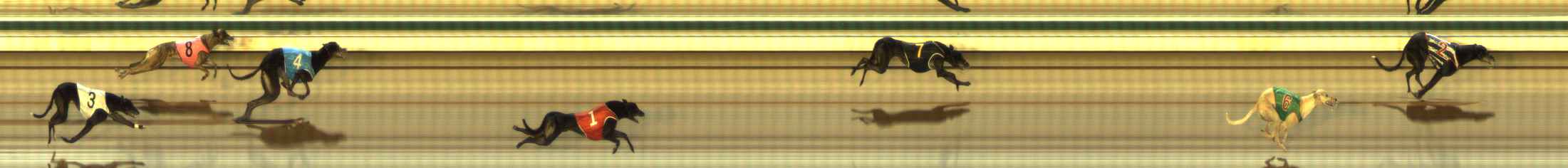 Photo finish for The Meadows Race 4