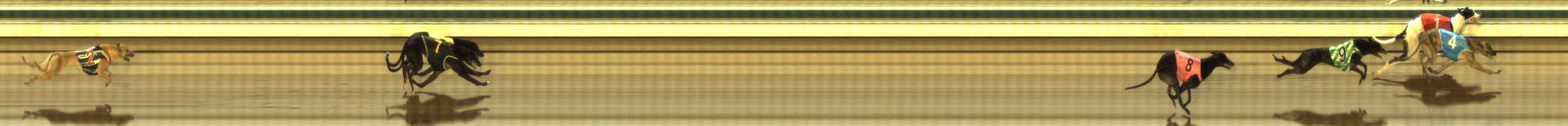 Photo finish for The Meadows Race 6