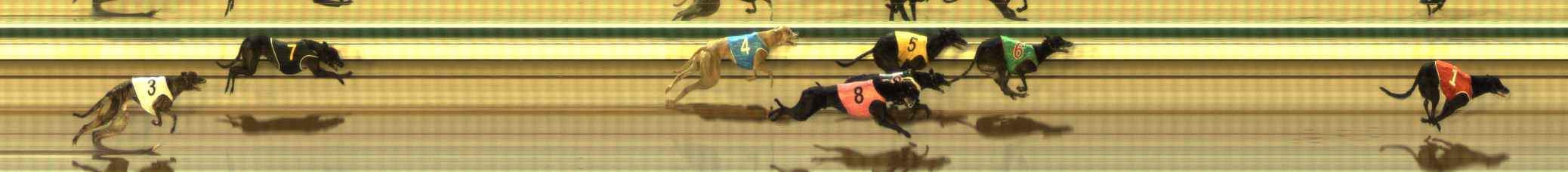 Photo finish for The Meadows Race 7