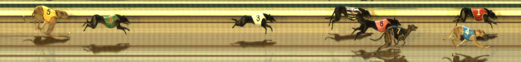 Photo finish for The Meadows Race 8