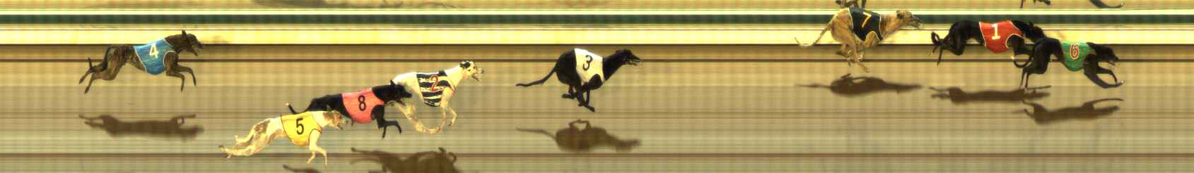 Photo finish for The Meadows Race 9