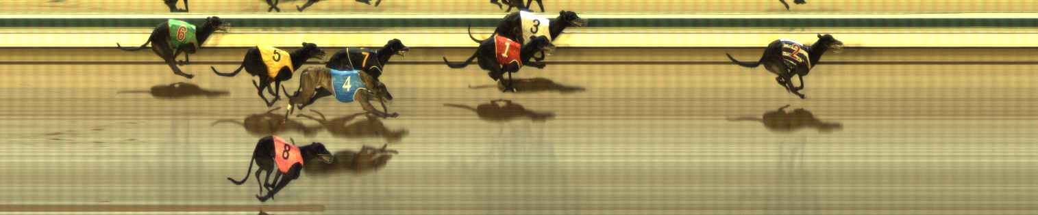 Photo finish for The Meadows Race 10