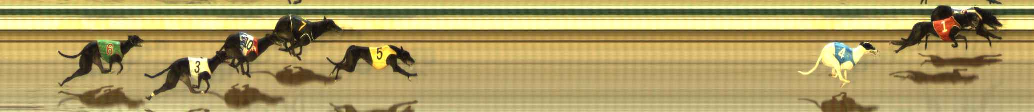 Photo finish for The Meadows Race 11