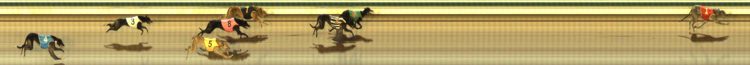 Photo finish for The Meadows Race 12