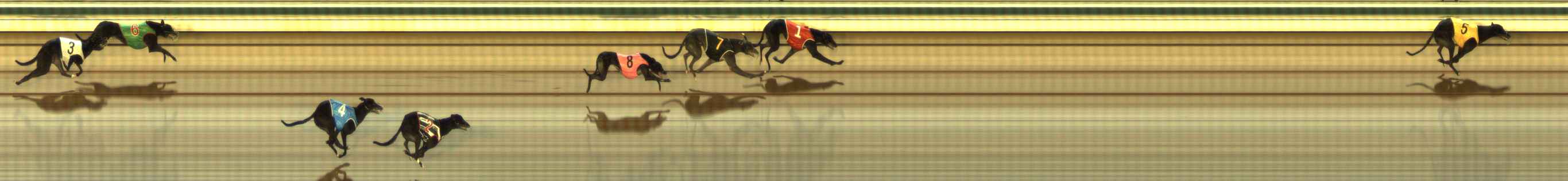 Photo finish for The Meadows Race 5