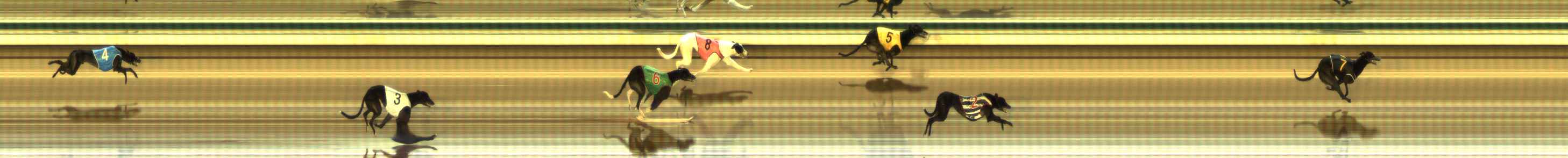 Photo finish for The Meadows Race 1