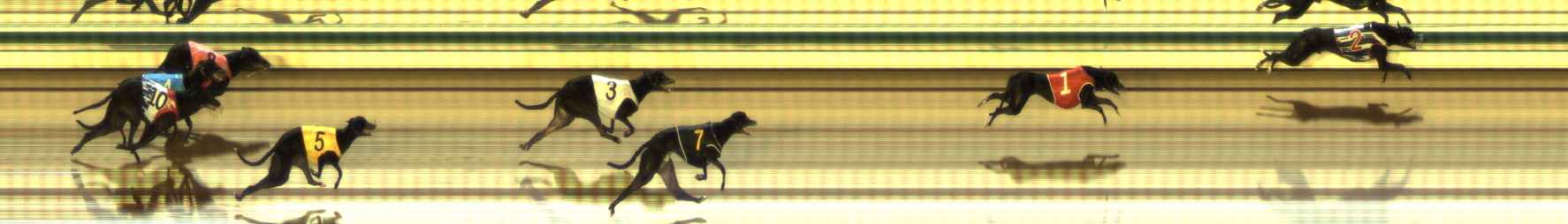 Photo finish for The Meadows Race 2