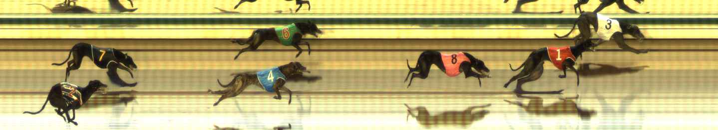 Photo finish for The Meadows Race 4