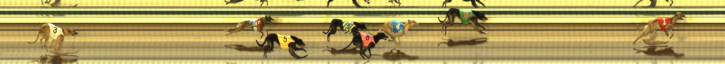 Photo finish for The Meadows Race 5