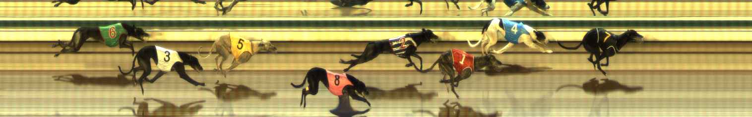 Photo finish for The Meadows Race 6