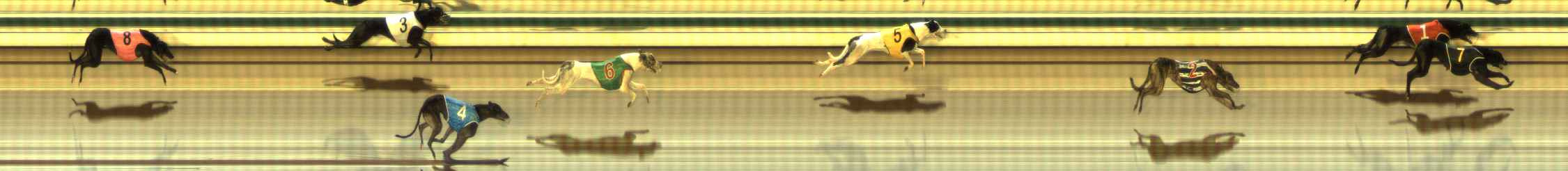 Photo finish for The Meadows Race 7