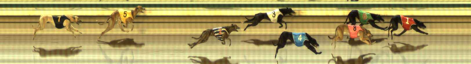Photo finish for The Meadows Race 8