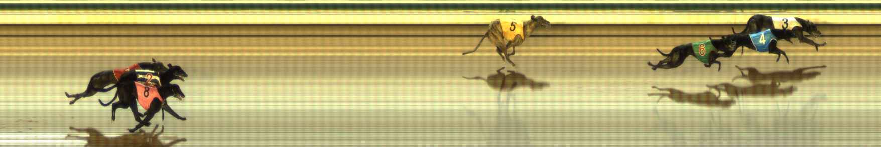 Photo finish for The Meadows Race 9