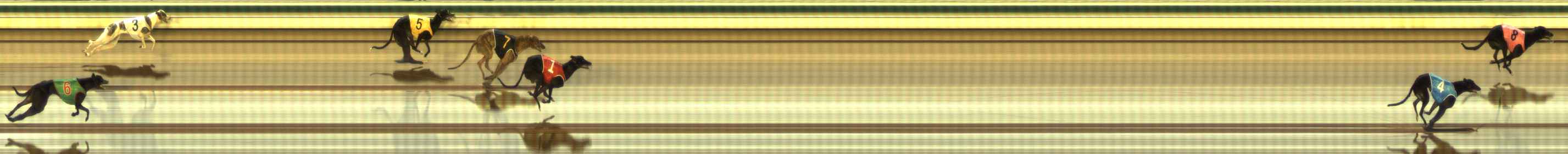 Photo finish for The Meadows Race 10