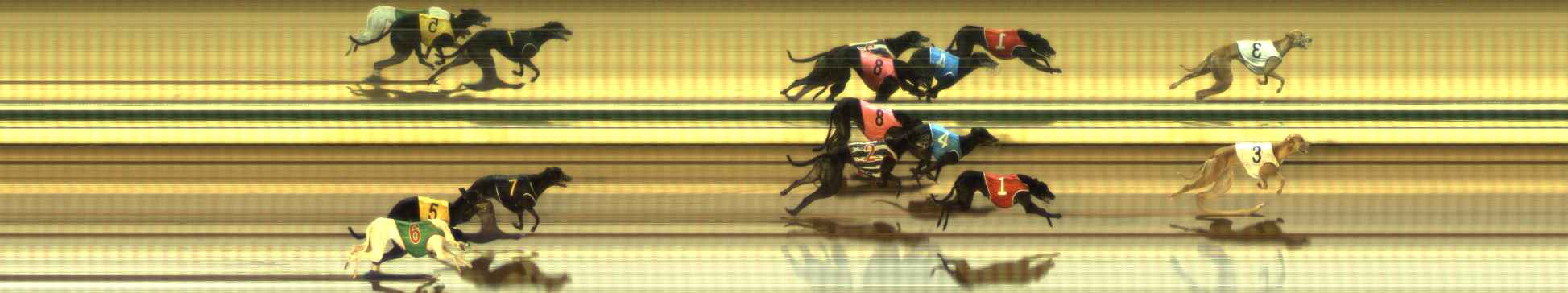 Photo finish for The Meadows Race 11