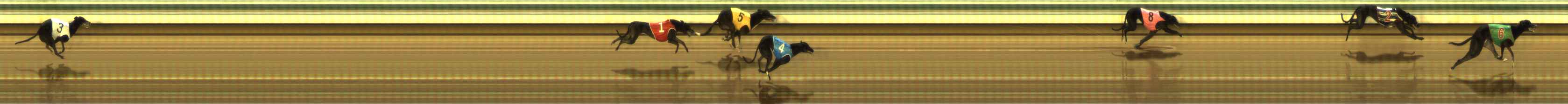 Photo finish for The Meadows Race 12