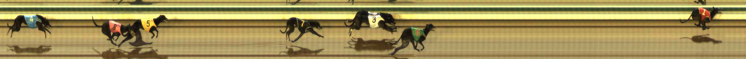Photo finish for The Meadows Race 1