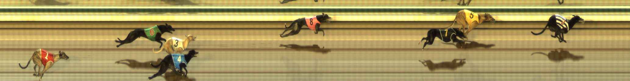 Photo finish for The Meadows Race 2