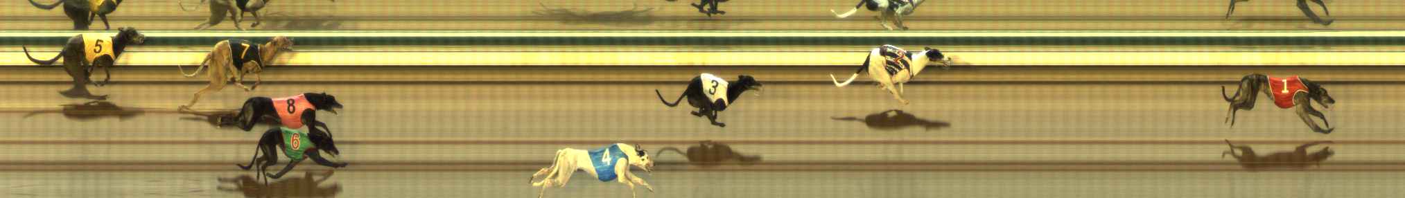 Photo finish for The Meadows Race 3