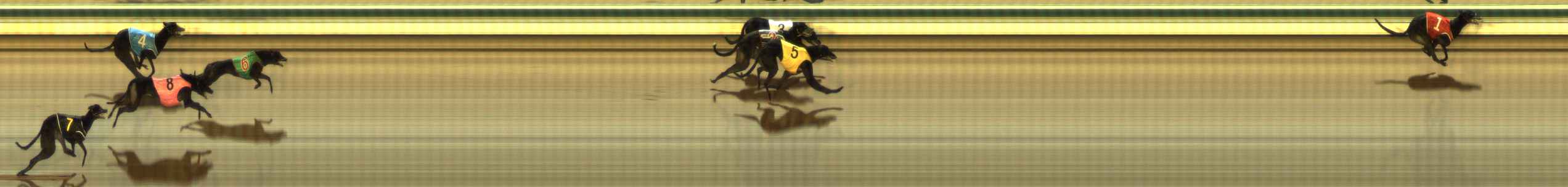 Photo finish for The Meadows Race 4