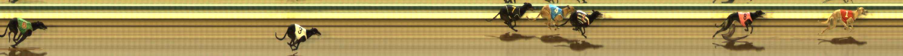 Photo finish for The Meadows Race 5