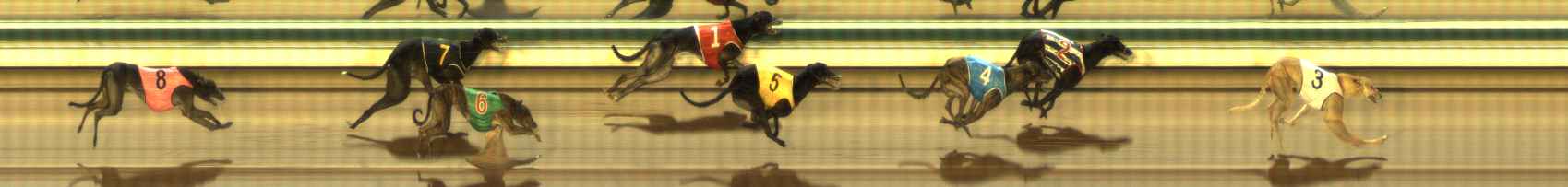 Photo finish for The Meadows Race 6