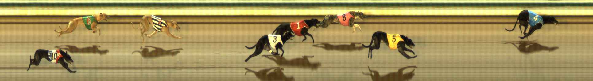 Photo finish for The Meadows Race 7