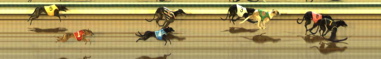 Photo finish for The Meadows Race 9