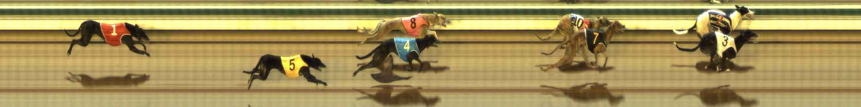Photo finish for The Meadows Race 10