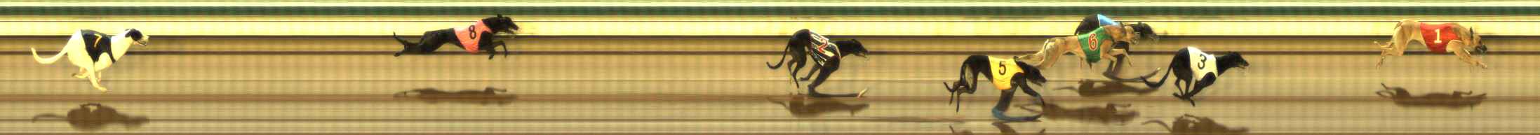 Photo finish for The Meadows Race 12