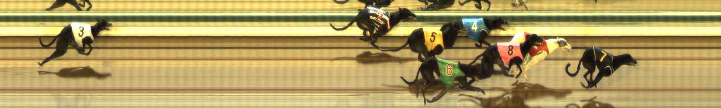 Photo finish for The Meadows Race 1