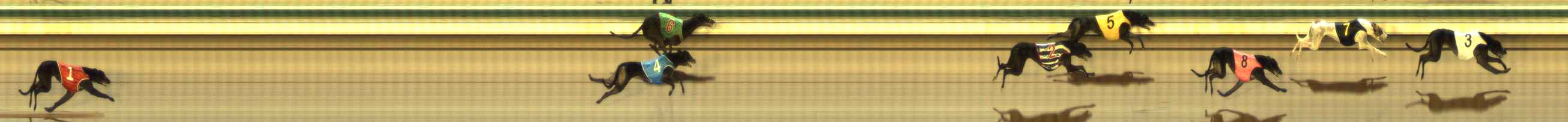 Photo finish for The Meadows Race 2