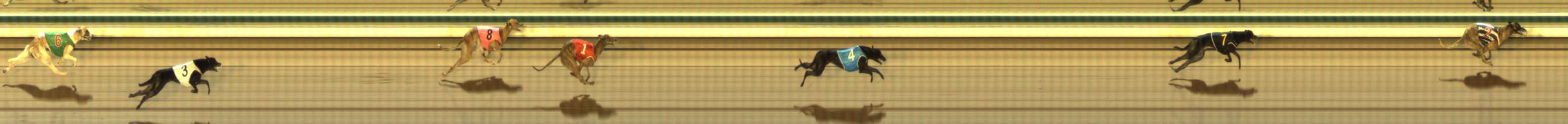 Photo finish for The Meadows Race 3