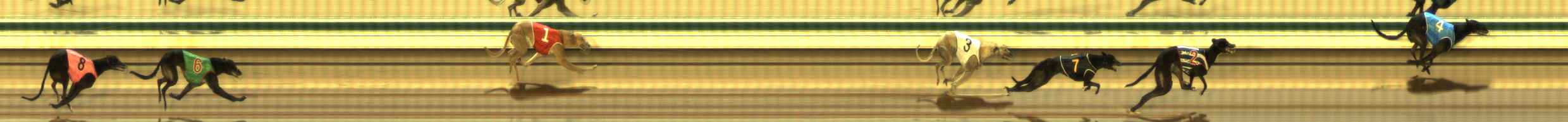 Photo finish for The Meadows Race 5